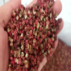 大紅袍花椒  陜西2022新大紅袍，紅花椒顆粒。開口98以上